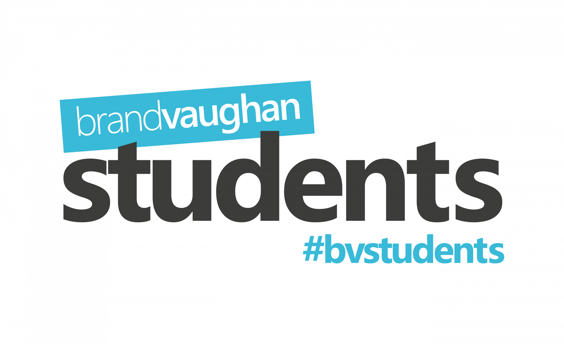 Logo for landlord BV Students